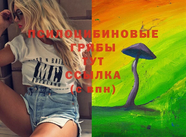 соль ск Абинск