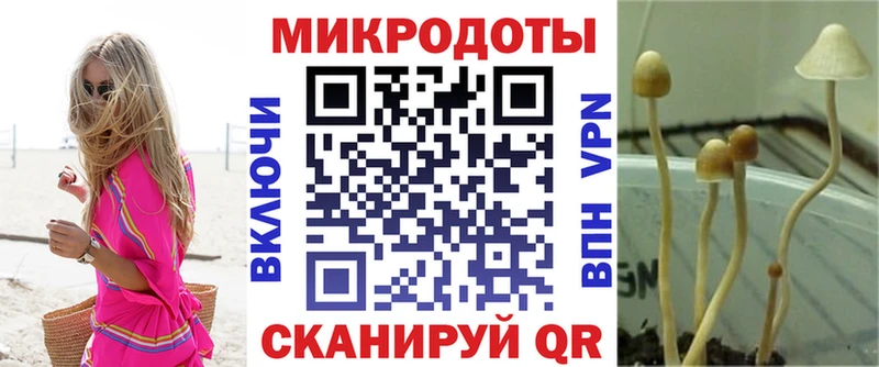 Галлюциногенные грибы прущие грибы  Рассказово 
